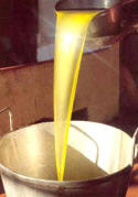 Aceite de Oliva